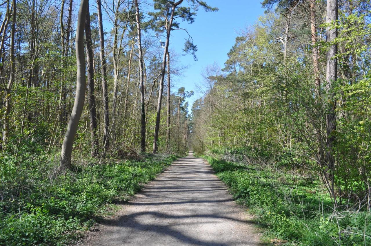 Ostseetraum Kuhlungsborn Bagian luar foto